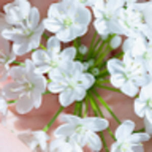 Meet your Posher, Meghan